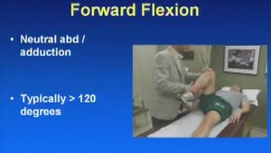 Physical Exam of the Hip | Vumedi