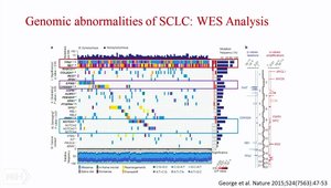 Genomic Abnormalities of SCLC: Inactivation of Rb and TP53, Epigenetic ...