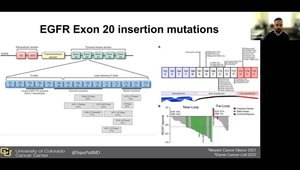 EGFR Exon 20 Insertion Mutations in NSCLC: Optimal and “Soon to Be ...