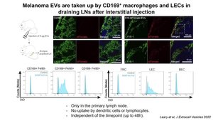 Multifaceted Roles of Lymphatic Endothelial Cells in Cancer Metastasis ...