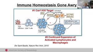 ASH 2023 Insights: "Inflamed - HLH, MAS, or Something Else?" | VuMedi