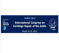 International Congress on Cartilage Repair of the Ankle