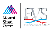 Mount Sinai Endovascular Fellows Course