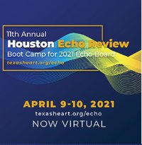 11th Annual Houston Echo Review: Boot Camp for 2021 Echo Board