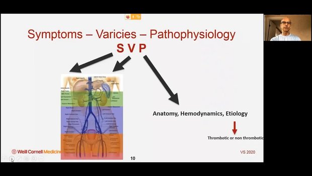 Towards a New Classification System to Categorize Patients with Pelvic ...