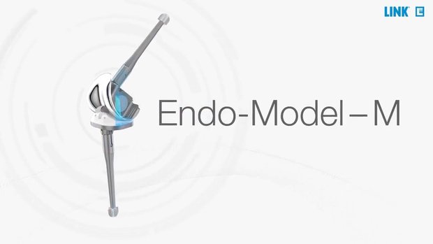 Endo-Model - M - Animation | Vumedi