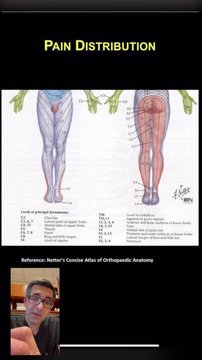 Lumbar Stenosis/Neurogenic Claudication: Part 1 - Introduction ...