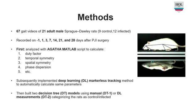 Markerless Motion Tracking via Deep Learning Improves Gait Analysis of ...