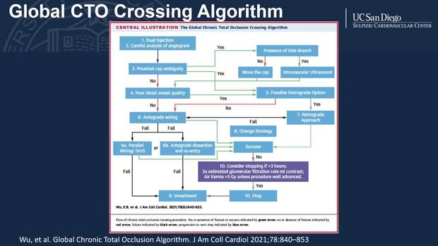 CTO Techniques and the Hybrid Algorithm | Vumedi