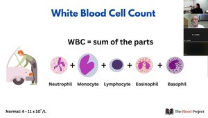 Exercises in CBC Interpretation - Focus on WBCs and Platelets | VuMedi