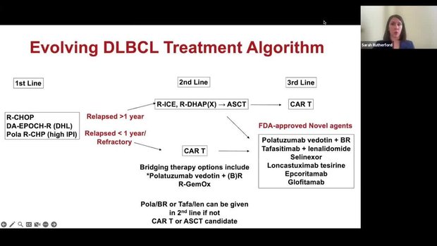 Optimizing 2L DLBCL Treatment Strategies for CAR-T Ineligible Patients ...