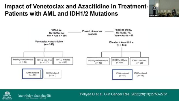 Addressing Unmet Needs in the Management of AML: From Testing to ...