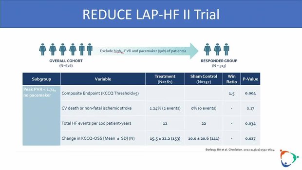 Heart Failure with Preserved Ejection Fraction: New Treatments - 2024 Update