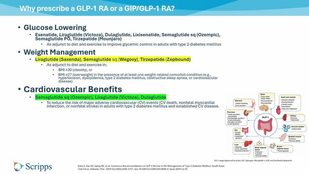elite finds glp 1 How do GLP-1s work for weight loss? #shorts #shortvideo
