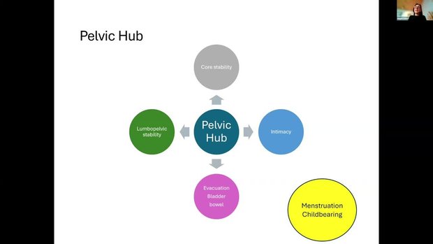IUGA 2024 Insights: Chronic Persistent Pelvic Pain Defined: The Tip of ...