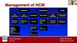 Hypertrophic Cardiomyopathy: What Are HCM Phenocopies and How to ...