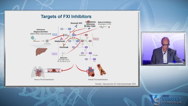 Factor FXI/FXIa Inhibition as a Novel Target for Anticoagulation | Vumedi