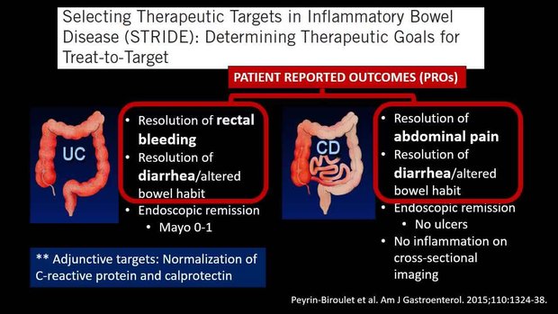 Monitoring Patients on IBD Therapies: How to Monitor? What Is the ...