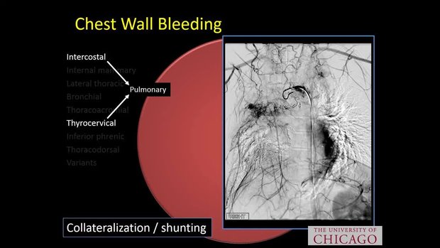 UChicago Medicine | Vumedi