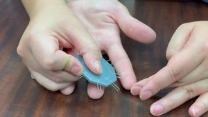 Two-Point Discrimination Testing of the Hand: Pearls, Pitfalls ...