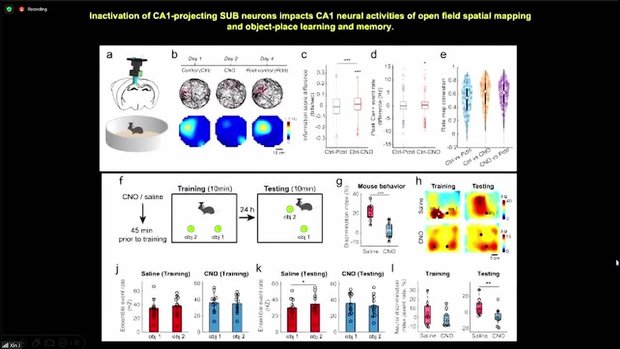 Neural Circuit Analysis and Single-Cell Spatial Transcriptomics of ...