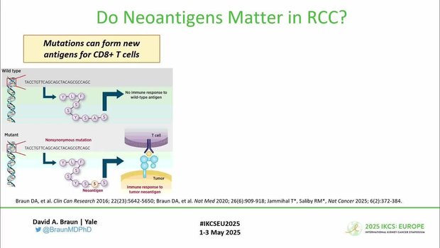 Novel Immunotherapy Targets in RCC: Perspectives From the Lab | Vumedi