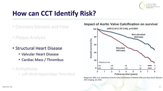 The Evolving Role of Cardiac CT in Risk Stratification, Diagnosis, and ...