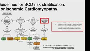 Genetics for SCD Risk Stratification in Nonischemic Cardiomyopathy | Vumedi