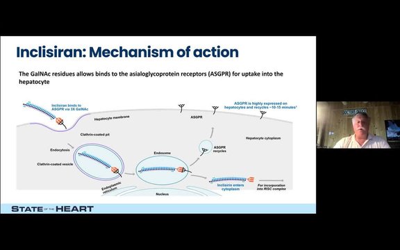 Non-Statin Therapies for Elevated LDL-C: The Role of Inclisiran (and ...