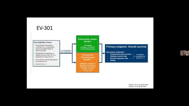 Enfortumab Vedotin in Urothelial Carcinoma: Review of EV-201 & EV-301 ...