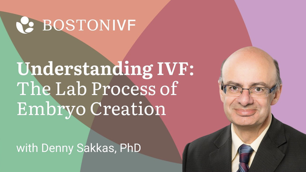 Understanding IVF: The Lab Process of Embryo Creation | Vumedi