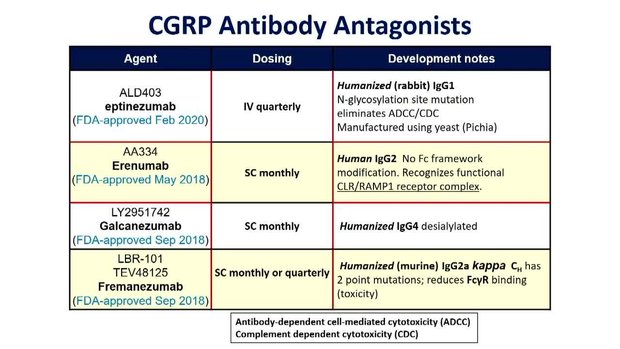CGRP & The New Treatment Paradigm | Vumedi