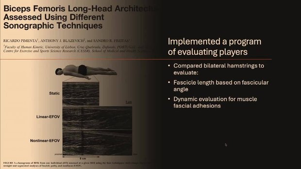 Ultrasound Evaluation of Hamstring: Length, Angle and Hydrodissection ...