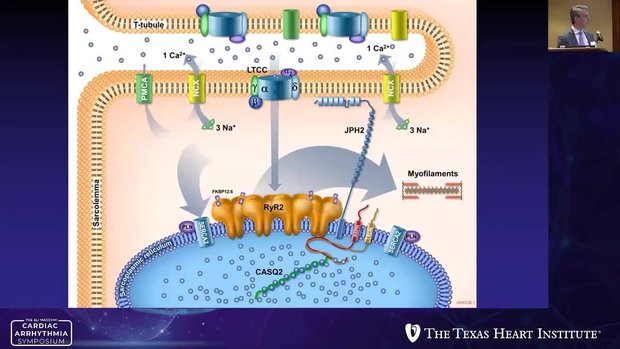 Established and Emerging Device Therapy in Heart Failure - CCM | Vumedi