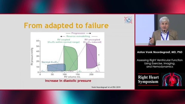 Assessing Right Ventricular Function Using Exercise, Imaging, and ...
