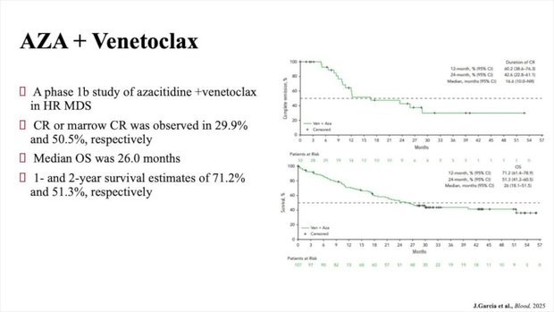 Transplantation in MDS: Current Strategies for Risk Stratification and ...