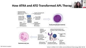 Managing High-Risk Acute Promyelocytic Leukemia: Early Diagnosis ...