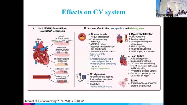 glp-1 timeline Timeline of GLP-1 discovery and clinical development. (a) Key events in...