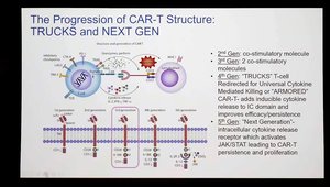 CAR-T for the Win: Advances, Challenges, and the Future of Cellular ...