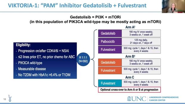Year in Review: Early and Metastatic Breast Cancer Highlights | Vumedi