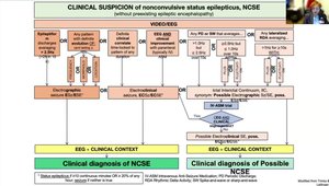 EEG Challenges in Neuro ICU: Nonconvulsive Seizures, Interictal ...