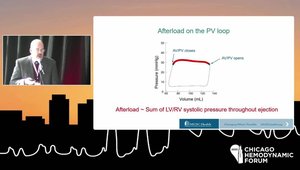 Pressure-Volume Loop Analysis in Pulmonary Hypertension: Methods and ...