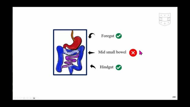 IBD Case-Based Discussion on Stricturing Disease: Radiologic, Surgical ...