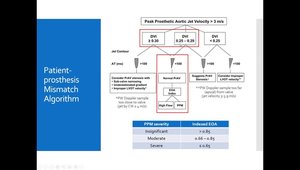 Echocardiographic Assessment of Prosthetic Valves | Vumedi