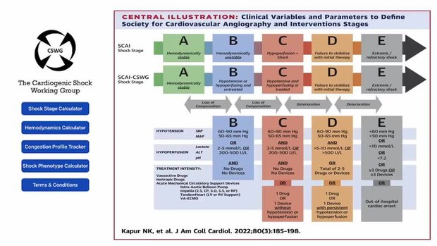 The Language of Shock: SCAI Staging System | Vumedi