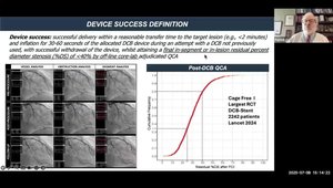 DCB-ARC Consensus: Definitions and Standardized Endpoints for Drug ...