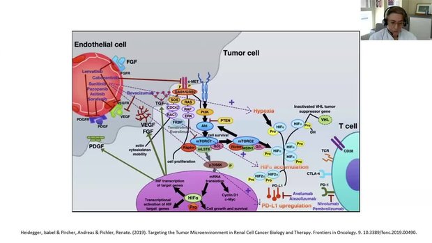 Breaking the Resistance Barrier: How Cabozantinib’s Dual MET/AXL ...