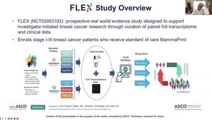 Anthracycline Sensitivity in HR+/HER2- eBC: Insights From ABC, I-SPY ...