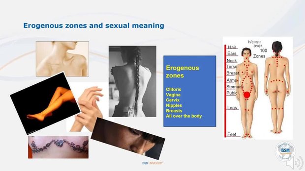 Female Sexual Anatomy and Physiology | Vumedi