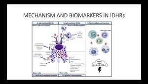 Endotypes in Immune Mediated Drug Reactions: Present and Future of ...